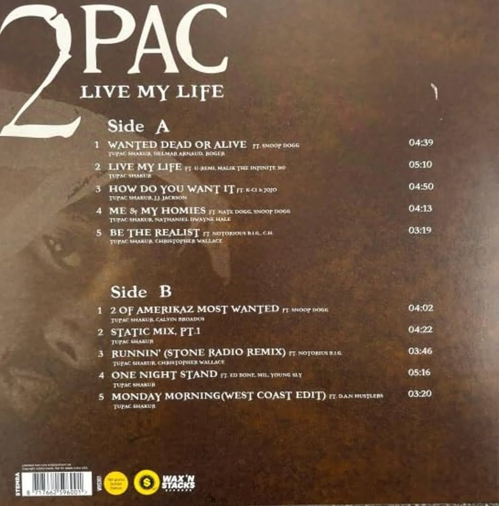 2Pac – Pac's Life 2LP レコード　シュリンクステッカー付 41SkJqaR2QL.jpg_BO30,255,255,